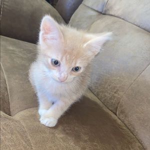 Meet your Posher, Noah